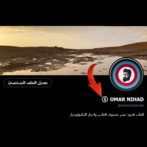 خدمات منصة X Payments